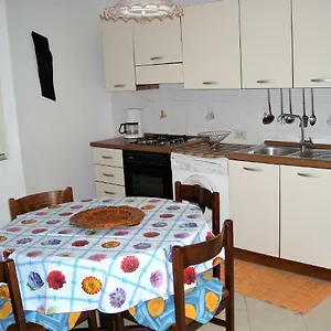 Basilico , Diano San Pietro Italia
